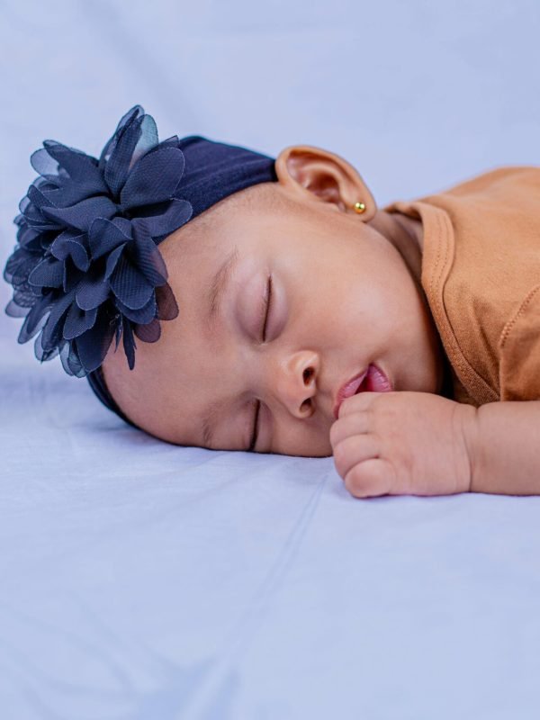 pexels-safari-consoler-3290243-10978952 pexels-safari-consoler-3290243-10978952